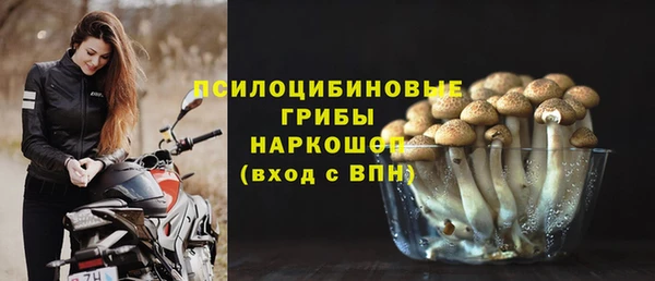 прущие крисы Сатка