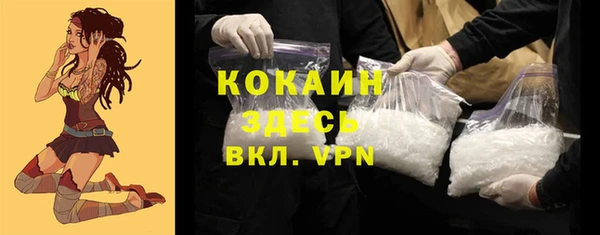 хмурый Алзамай