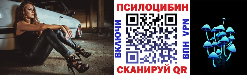 Псилоцибиновые грибы прущие грибы  где купить   Гаврилов Посад 